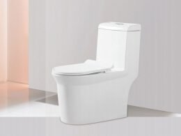 toilet