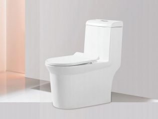 虹吸式马桶