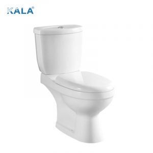Washdown two-piece toilet